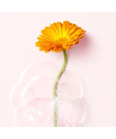  PARAVOSTRA ROG CAVAILL S | Extra Gentle Intimate Wash | Respected and protected intimate area - Natural formula | Gently cleanses & Protects the intimate balance | Pack: Intimate Wash (2 x 500 ml + 1 x 100 ml) - Buy Online on GoSupps.com