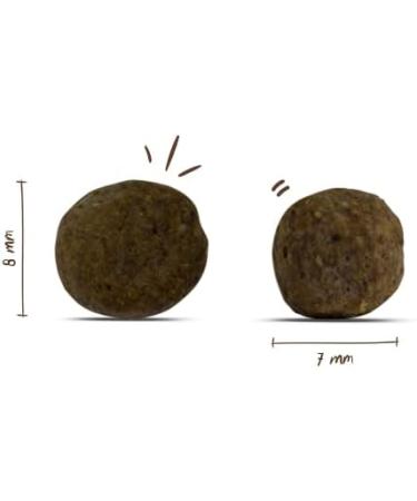 bosch HPC Mini Junior - Dry food for small breed puppies (up to 15 kg) - 1 x 15 kg - Buy Online on GoSupps.com