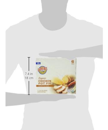 Earth's Best Organic Stage 3 Baby Food Chicken Pot Pie 3.5 oz Pouch - Pack of 6 - Buy Online on GoSupps.com