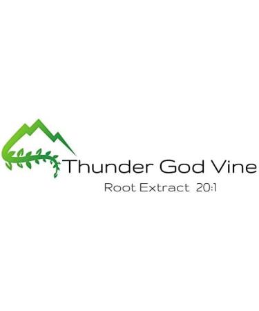 Thunder God Vine Root Extract 100mg Vegan Capsules | 200 Count | Made in USA | Tripterygium wilfordii 20:1 Concentration - Buy Online on GoSupps.com