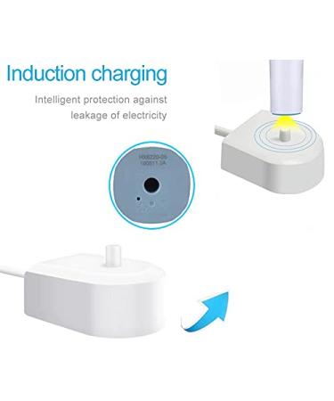 Replacement Charger Cable for Philips Sonicare Electric Toothbrush - HX6100 Compatible with HX9000 / HX8000 / HX6000 / HX3000 Series - Waterproof Charging Base Power Cord - Buy Online on GoSupps.com
