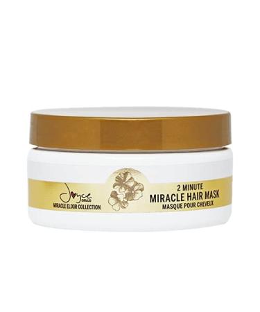 Joyce Giraud 2 Minute Miracle Hair Mask - Restore  Renew  & Repair  Ideal for All Hair Types - Miracle Elixir Collection  8 Oz.