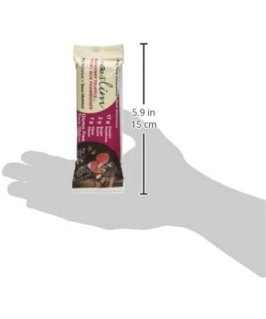 NuGo Slim Dark Chocolate Raspberry Truffle - 17g Protein, Low Sugar, Gluten Free - 12 Count - Buy Online on GoSupps.com