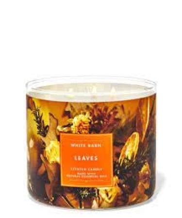 Leave 3 Wick Candle 14.5 oz / 411 g (2022 Edition)