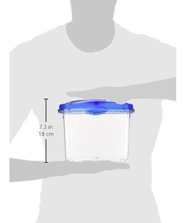Aqueon Betta Bowl Kit Blue - .5 Gallon | Complete Betta Fish Tank Set - Buy Online on GoSupps.com