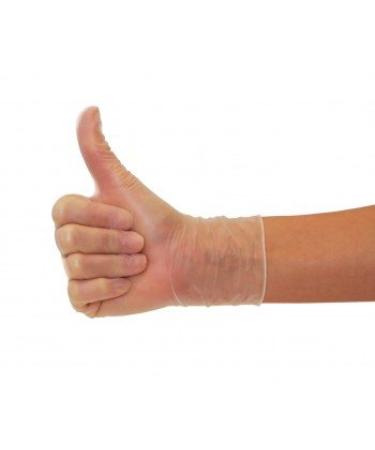 Vinyl Gloves 1000 Pieces - Powder-Free Latex-Free Disposable Exam Gloves (10 Boxes Transparent) - Buy Online on GoSupps.com