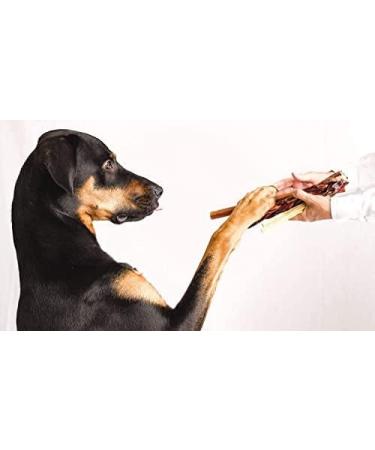 Loyalty Dog Treats Beef Bully Sticks Natural Single Ingredient Dehydrated Dental Chew 6 inch (Pack of 10) 0.9 g (Pack of 10) 10 - Buy Online on GoSupps.com