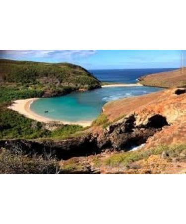 Baja Liquid Electrolytes | Ultra-Concentrated Drops (2 oz) -Natural Organic Non GMO | 100 Servings- Keto Vegan Paleo GLP 1- BAHA Minerals w- Magnesium Potassium (2oz Glass Dropper) - Buy Online on GoSupps.com