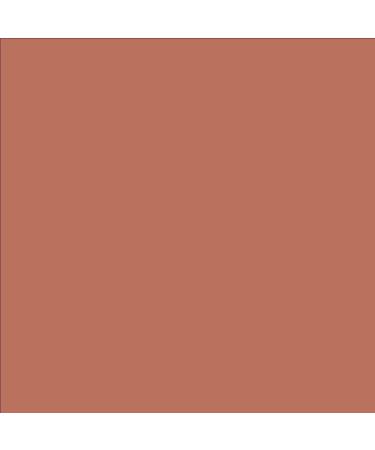 Palladio Lip Stain Hydrating and Waterproof Formula Matte Color Look Longlasting All Day Wear Lip Color Smudge Proof Natural Finish Precise Chisel Tip Marker Nude brown 1 count (Pack of 1) - Buy Online on GoSupps.com