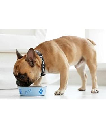 Food PURA Brewers Yeast Powder 2KG - use with Horses Ponies Vitamin B E & H for Pets and Animals - For Healthy Skin and Coats - also Human FOOD Grade! - Buy Online on GoSupps.com