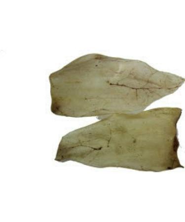 kyli Cattle Ears Light Pack of 50 - Buy Online on GoSupps.com