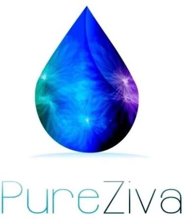 Pure Ziva Shiny Yellow Gold Loose Powder Mineral Glitter Eyeshadow | Talc-Free, Paraben-Free, Cruelty-Free - Buy Online on GoSupps.com