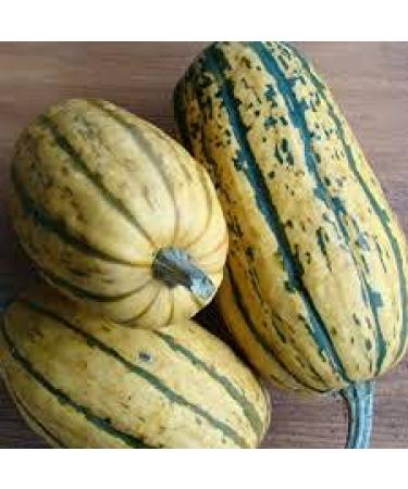 Aamish 10 semi di frutta anguria Zucchero Baby