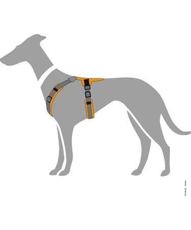 HUNTER Harness Maldon 37-53/XS-S Orange/Grey | Premium Pet Harness for Small Dogs - Shop Now! - Buy Online on GoSupps.com