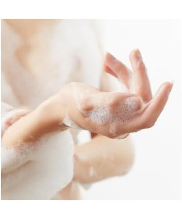  Conter Vidal Bagnodoccia Set of 12 bottles of shower gel Pino Classico Pine perfume 500 ml - Buy Online on GoSupps.com