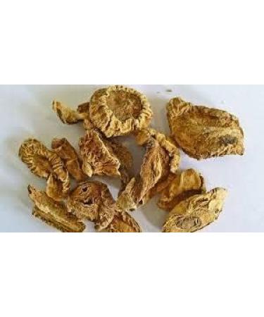 Devil's Claw Bat Head Root Devil's pod Vampire Root for puja 200 GM - Buy Online on GoSupps.com