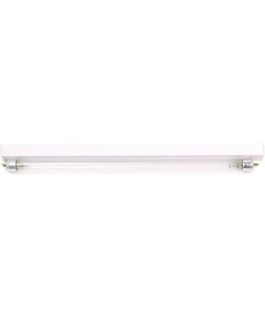 BRBLUERISE 9003 UV Bulbs - High Quality and Long Lasting - Buy Online on GoSupps.com