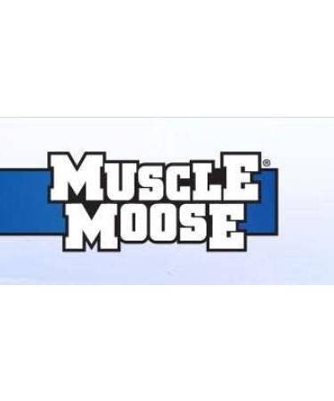 Muscle Moose Protein Pancake Mix 26g Protein Light Fluffy Texture - Golden Syrup Flavour 500g (Makes 20 x Pancakes) - Buy Online on GoSupps.com