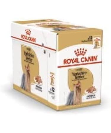 Royal Canin Yorkshire Terrier Wet Dog Food Pouches 48 x 85g - Buy Online on GoSupps.com
