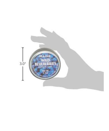 Wild Maine Blueberries in Water - 3.5oz Can (Pack of 6) for Baking Muffins & Pancakes - Buy Online on GoSupps.com