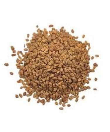 Tazarin LTD 500g Whole Fenugreek Seeds - Digestion Vitality Cooking & Body Care | Trigonella foenum-graecum | 100% Natural Pure & No Additives | Top Quality - TazarinLtd