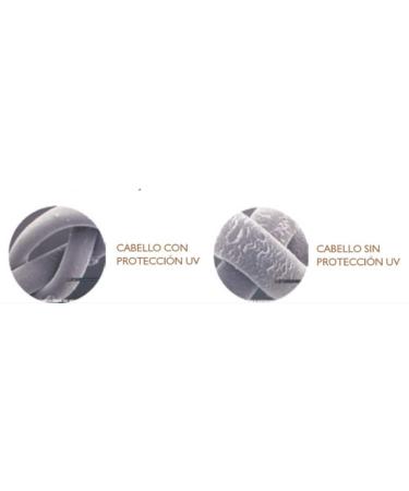 Terramar Hair Oil Protector - Nourishing Hair Treatment for Ultimate Protection - Buy Online on GoSupps.com