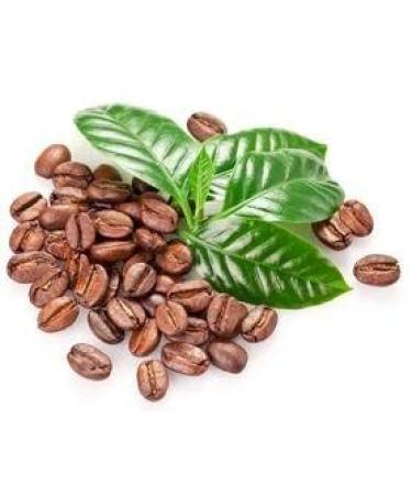 Coffee Bean Semi Verde Alimentari Semi del caff Vero al 100% di caff Semi 10 Particelle/Bag