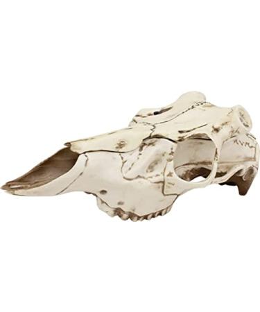 Mountain Mike's Natural Causes Skull Master, Large, MMRSMLNC