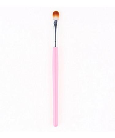 WOIWO 6 PCS Fiber Eyeshadow Brushes - Colorful Plastic Handle Applicators for Perfect Eye Makeup | Shop Internationally - Buy Online on GoSupps.com