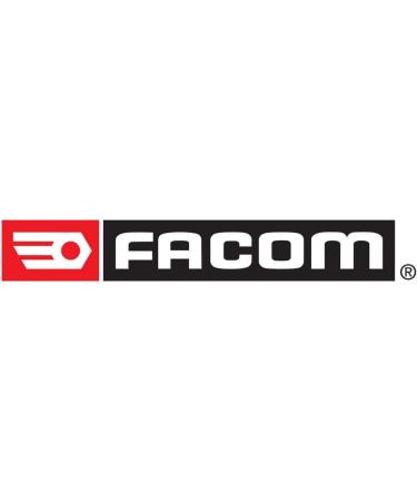 Buy FACOM Ratchet Ring Spanner 64C.S2 - 1 Piece for International Shipping | High Quality Tools - Buy Online on GoSupps.com