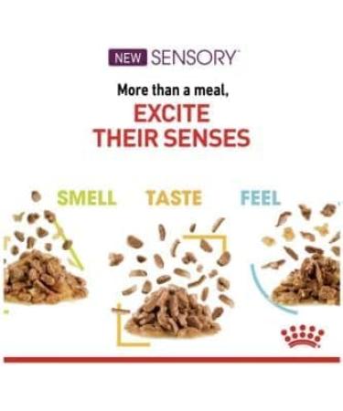 Royal Canin Sensory Feel in Gravy Wet Cat Food for Picky Cats 85g (Pack of 24) - Buy Online on GoSupps.com