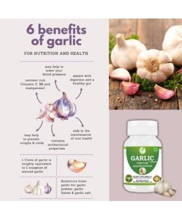 Morsan Healthcare Odorless Garlic Capsules 500 mg | Allium sativum | 60 Vegan Capsules | Herbal Supplement | Vegan, Gluten-Free, GMO-Free | Natural Herbal Supplement | Pack of 1 Bottle - Buy Online on GoSupps.com