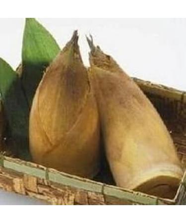 3 Pound (1362 Grams) Dried Tender Bamboo Shoots Vegetable from China. - Buy Online on GoSupps.com