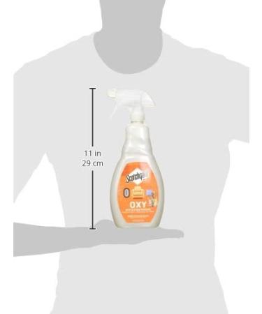 Scotchgard OXY Pet Carpet & Fabric Stain Remover - 26oz | Powerful Spot Treatment - Buy Online on GoSupps.com