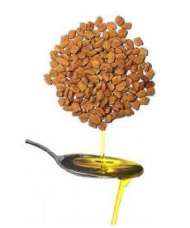 Bockshorn clover oil 60 ml cold pressed