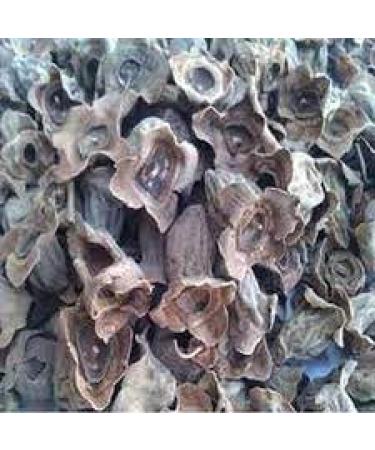 Neel Ayurvedics Vakumba | Kumbhi - 250 Gm