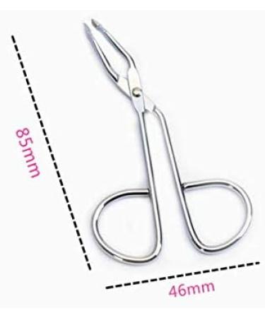 Professional Stainless Steel Eyebrow Tweezers & Scissors | Beveled Tip Beauty Tool for Perfect Eyebrow Shape | Portable & Durable - Buy Online on GoSupps.com