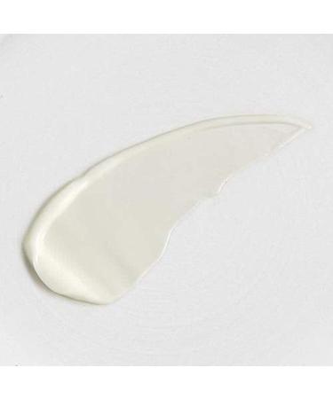 The Body Shop Tea Tree Hydrating Night Lotion for Blemished Skin - 1 FL OZ (Vegan) - Buy Online on GoSupps.com