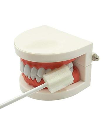 100 Count MUNKCARE Oral Swabs Disposable - Untreated & Unflavored Cleaning Sponges - Buy Online on GoSupps.com