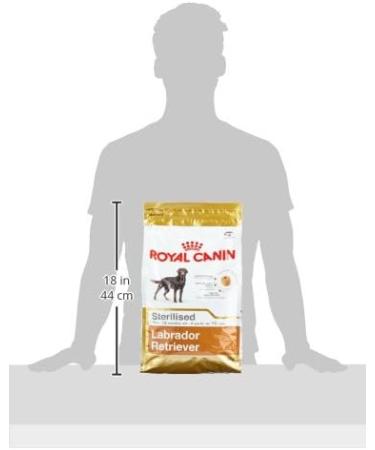 Royal Canin Labrador Adult Sterilised Pack of 1 (1 x 3 kg) - Buy Online on GoSupps.com