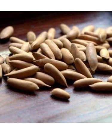 Dry Fruit Nuts Dried nut Best Indian dryfruit|Chilgoza Pine Nut 1 kg - Buy Online on GoSupps.com