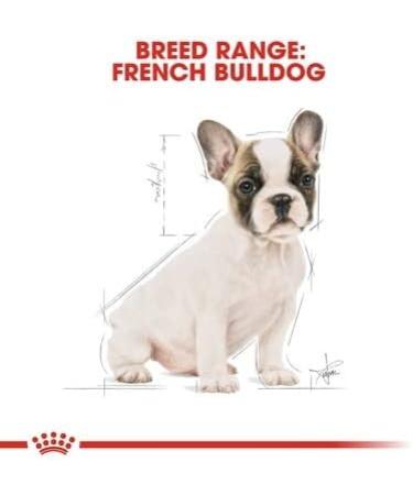 ROYAL CANIN French Bulldog Puppy Dry Dog Food 3kg - Buy Online on GoSupps.com