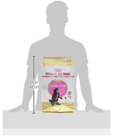 Royal Canin Kitten Food Maine Coon 36 Dry Mix 4 kg Variety 4 kg (Pack of 1) - Buy Online on GoSupps.com