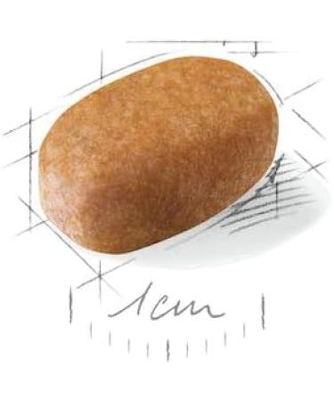 Royal Canin Dog Food Maltese Adult 1.5kg - Buy Online on GoSupps.com