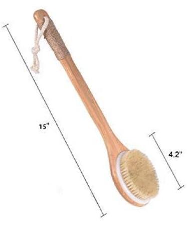 Frava Long Handle Bath Brush Back Scrubber - Exfoliating Shower & Bath Body Brush (15.7 Inches) - Buy Online on GoSupps.com