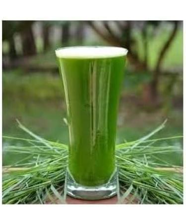 Arugampul Powder 100 GM Bermuda Grass | Doob Grass Pack Of 1 - Buy Online on GoSupps.com