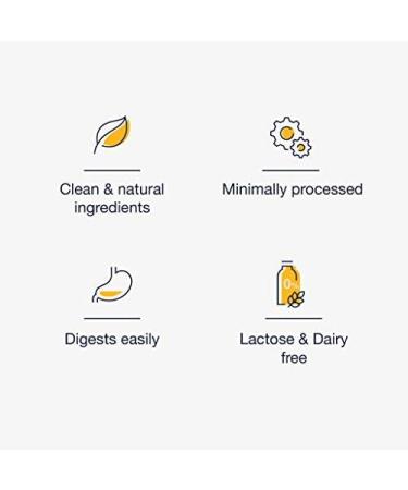 Blonyx Egg White Protein Isolate Powder - Chocolate Milk Flavor 20g Protein per Serving Gluten & Lactose Free Natural Ingredients 740g - Buy Online on GoSupps.com