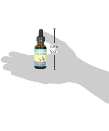 Herbs for Kids: Nettles & Eyebright Liquid Supplement - 1oz Unflavored Glass Bottle - Buy Online on GoSupps.com