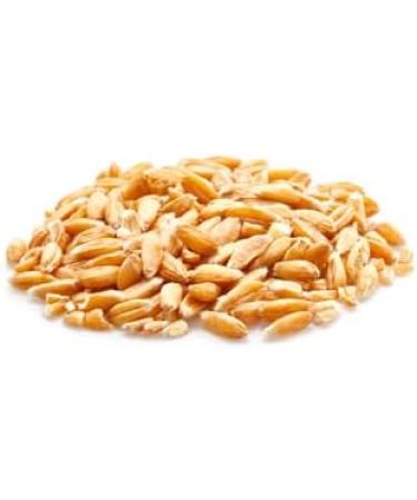 Yupik Organic Spelt Kernels 1 kg Non-GMO Kosher Vegan Raw Hulled Grains Unsalted Source of Fiber Ideal for Baking & Cooking 1 kg (Pack of 1) - Buy Online on GoSupps.com