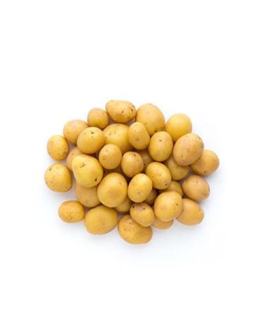 Veenas Fresh Baby Potato | 1KG | Potato Fry | Tasty and Delicious | Fresh Vegetable | Indian Origin Baby Potato 1KG